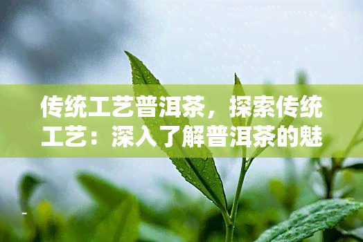 传统工艺普洱茶，探索传统工艺：深入了解普洱茶的魅力