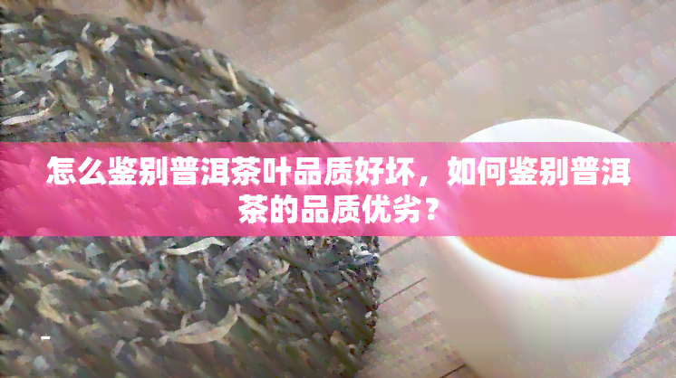 怎么鉴别普洱茶叶品质好坏，如何鉴别普洱茶的品质优劣？