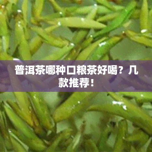 普洱茶哪种口粮茶好喝？几款推荐！