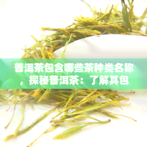 普洱茶包含哪些茶种类名称，探秘普洱茶：了解其包含的多种茶种类名称