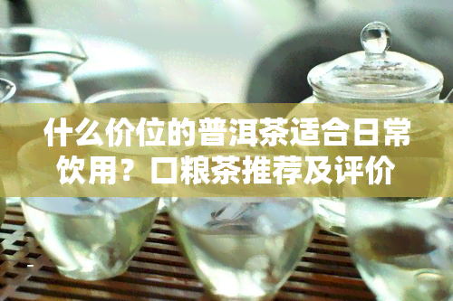 什么价位的普洱茶适合日常饮用？口粮茶推荐及评价