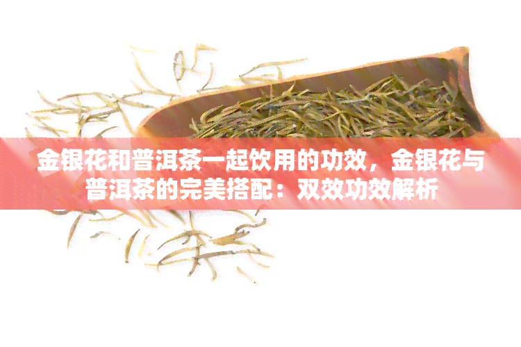 金银花和普洱茶一起饮用的功效，金银花与普洱茶的完美搭配：双效功效解析