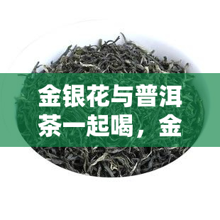 金银花与普洱茶一起喝，金银花与普洱茶的完美搭配：养生新选择