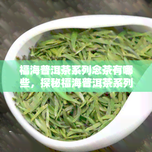 福海普洱茶系列念茶有哪些，探秘福海普洱茶系列念茶，了解其独特之处