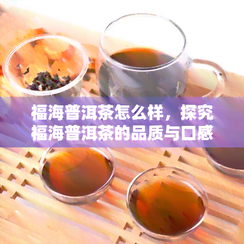 福海普洱茶怎么样，探究福海普洱茶的品质与口感，你值得了解！