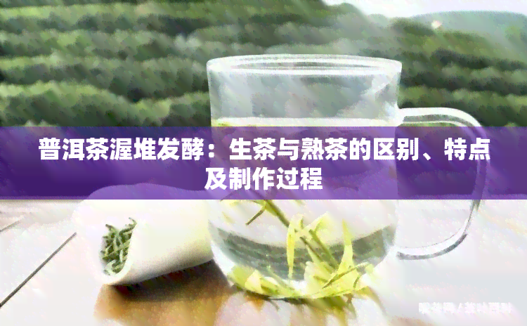 普洱茶渥堆发酵：生茶与熟茶的区别、特点及制作过程