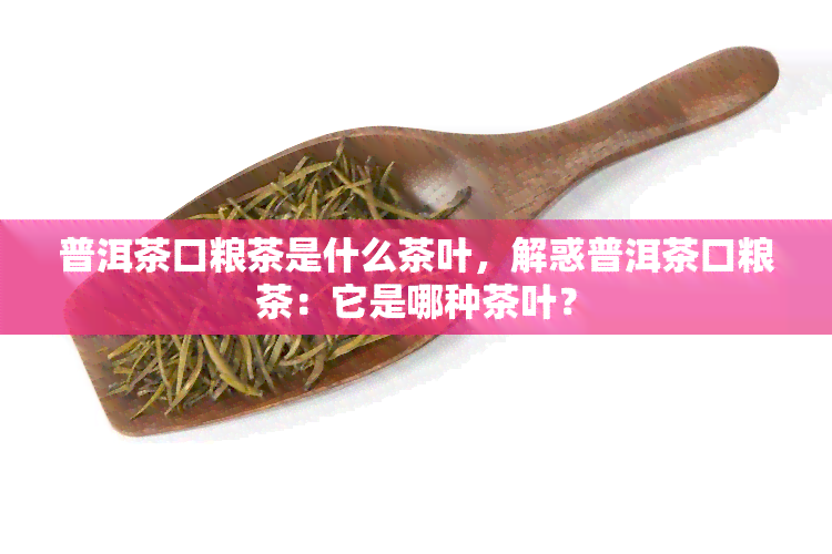 普洱茶口粮茶是什么茶叶，解惑普洱茶口粮茶：它是哪种茶叶？