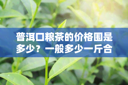 普洱口粮茶的价格围是多少？一般多少一斤合适？