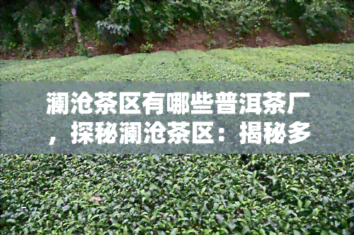 澜沧茶区有哪些普洱茶厂，探秘澜沧茶区：揭秘多家知名普洱茶厂