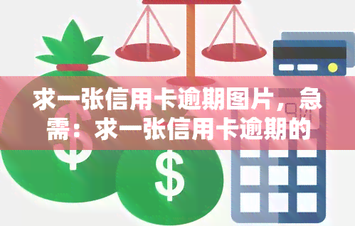 求一张信用卡逾期图片，急需：求一张信用卡逾期的图片，用于学和理解相关概念