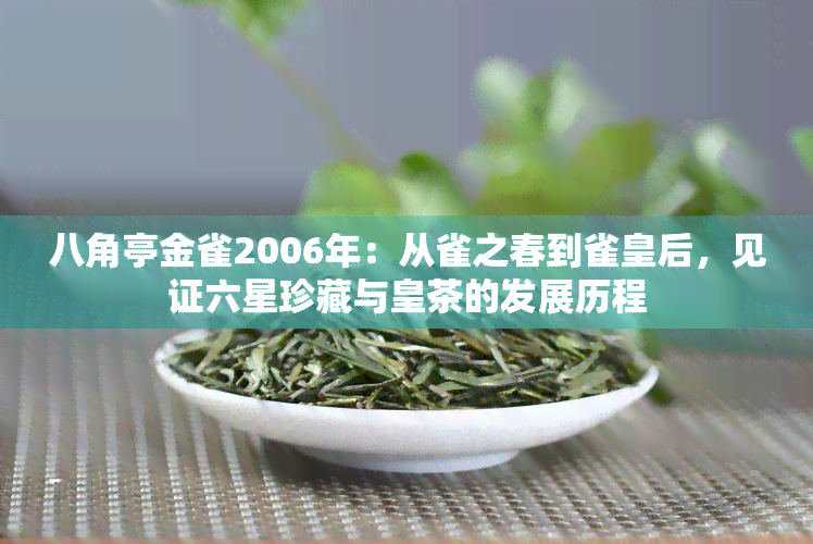 八角亭金雀2006年：从雀之春到雀皇后，见证六星珍藏与皇茶的发展历程