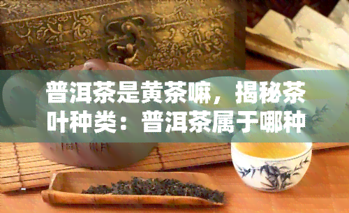 普洱茶是黄茶嘛，揭秘茶叶种类：普洱茶属于哪种茶类？