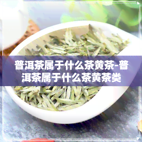 普洱茶属于什么茶黄茶-普洱茶属于什么茶黄茶类