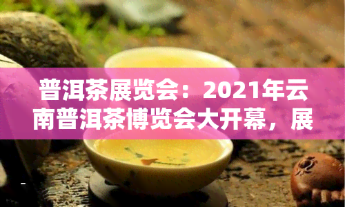 普洱茶展览会：2021年云南普洱茶博览会大开幕，展示丰富多样的普洱茶展品与文化。