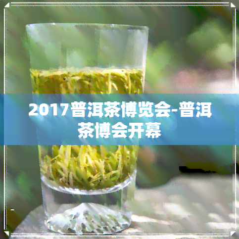 2017普洱茶博览会-普洱茶博会开幕