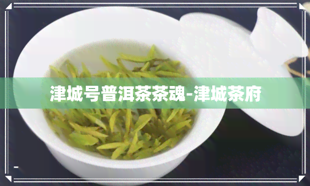 津城号普洱茶茶魂-津城茶府