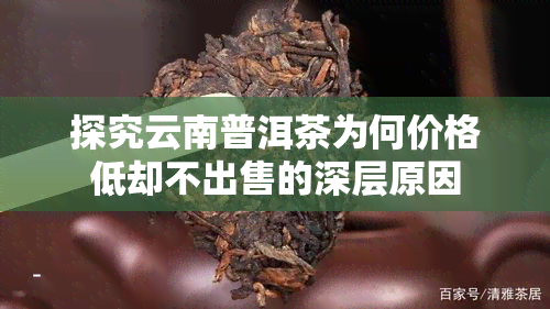 探究云南普洱茶为何价格低却不出售的深层原因