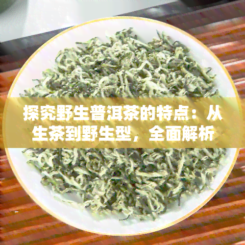 探究野生普洱茶的特点：从生茶到野生型，全面解析其优点与缺点