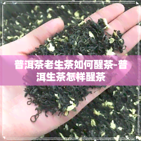 普洱茶老生茶如何醒茶-普洱生茶怎样醒茶