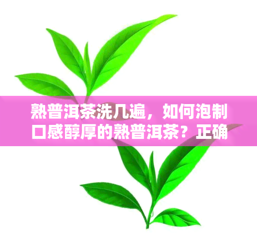 熟普洱茶洗几遍，如何泡制口感醇厚的熟普洱茶？正确清洗方法解析