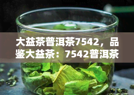 大益茶普洱茶7542，品鉴大益茶：7542普洱茶的魅力与特点