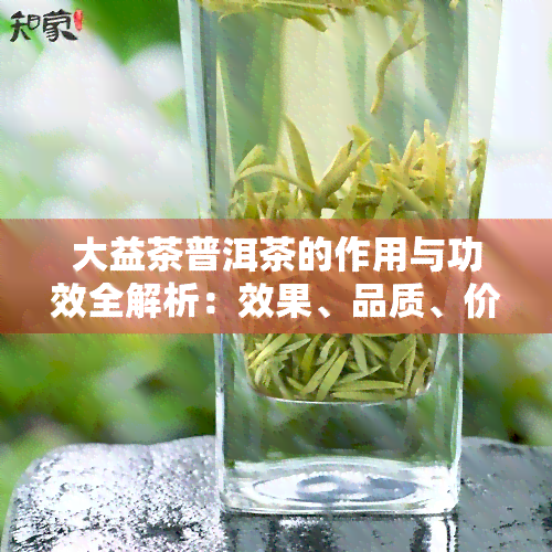 大益茶普洱茶的作用与功效全解析：效果、品质、价值及使用禁忌