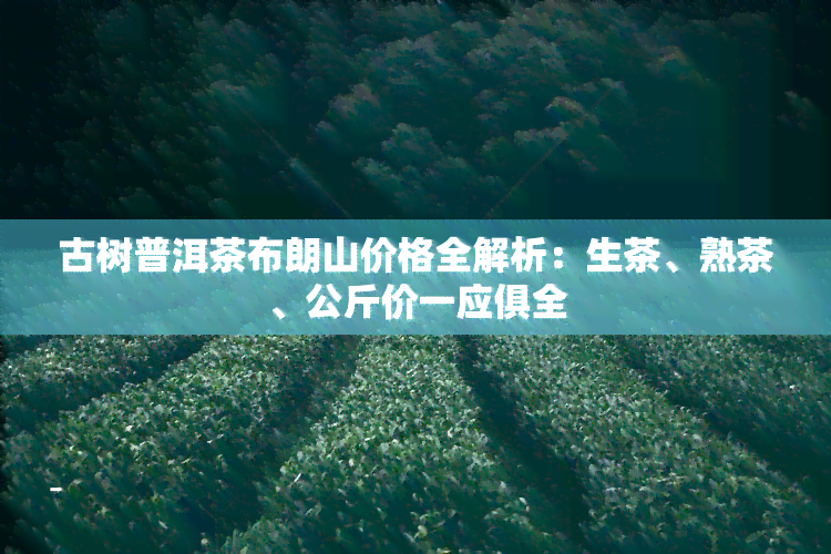 古树普洱茶布朗山价格全解析：生茶、熟茶、公斤价一应俱全