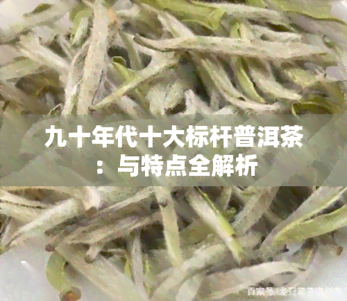 九十年代十大标杆普洱茶：与特点全解析