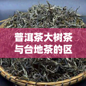 普洱茶大树茶与台地茶的区别及年份、品种区分方法