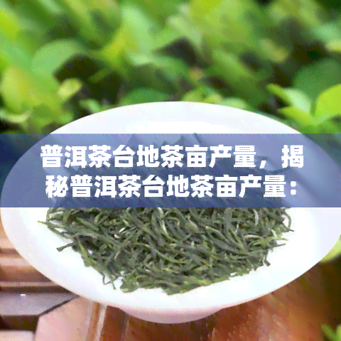 普洱茶台地茶亩产量，揭秘普洱茶台地茶亩产量：一场茶叶生产的数字较量