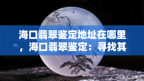 海口翡翠鉴定地址在哪里，海口翡翠鉴定：寻找其准确位置的指南