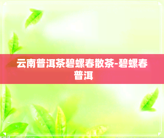 云南普洱茶碧螺春散茶-碧螺春 普洱