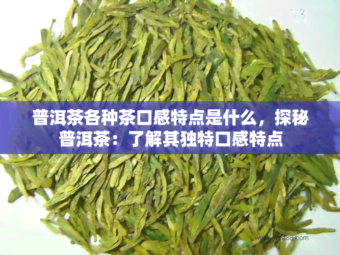 普洱茶各种茶口感特点是什么，探秘普洱茶：了解其独特口感特点