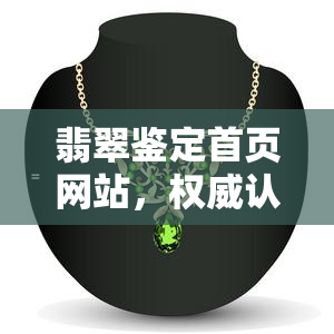 翡翠鉴定首页网站，权威认证！探索翡翠鉴定首页网站，了解翡翠知识与鉴定技巧