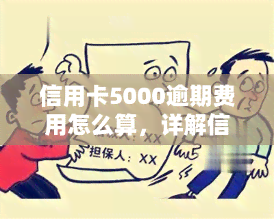 信用卡5000逾期费用怎么算，详解信用卡5000元逾期的费用计算方法