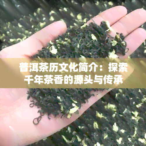 普洱茶历文化简介：探索千年茶香的源头与传承