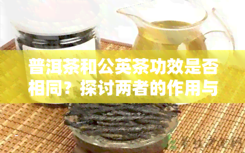 普洱茶和公英茶功效是否相同？探讨两者的作用与能否一起饮用