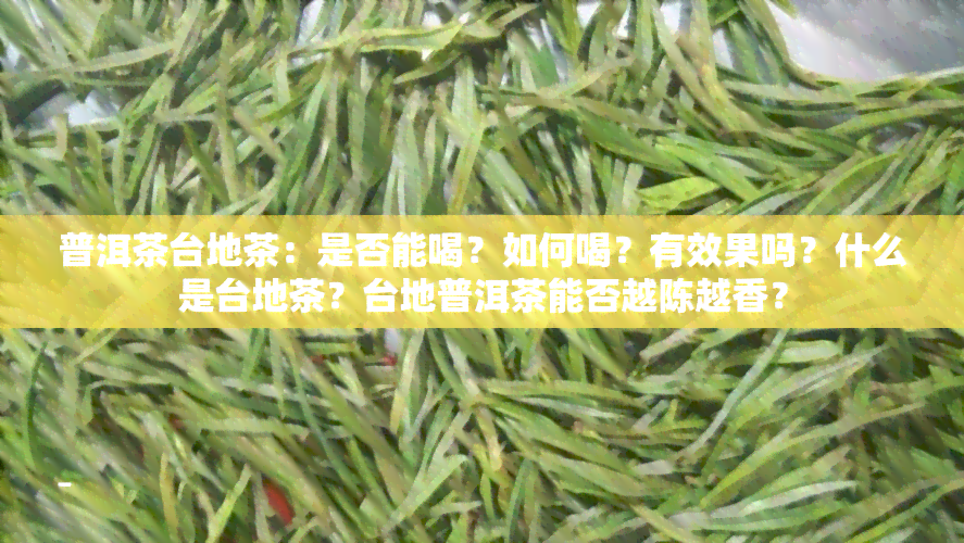 普洱茶台地茶：是否能喝？如何喝？有效果吗？什么是台地茶？台地普洱茶能否越陈越香？