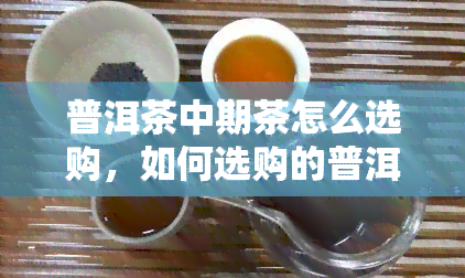 普洱茶中期茶怎么选购，如何选购的普洱茶中期茶？