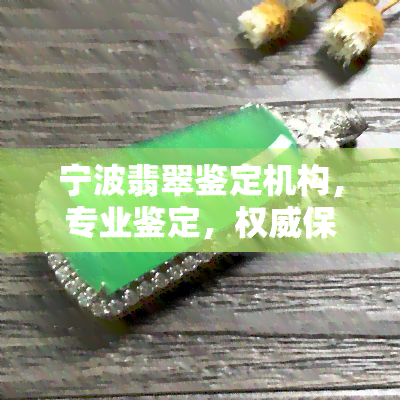 宁波翡翠鉴定机构，专业鉴定，权威保障——宁波翡翠鉴定机构推荐