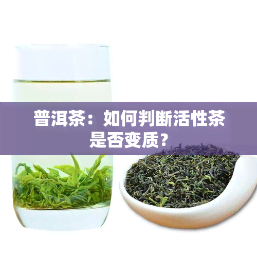 普洱茶：如何判断活性茶是否变质？