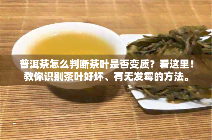 普洱茶怎么判断茶叶是否变质？看这里！教你识别茶叶好坏、有无发霉的方法。