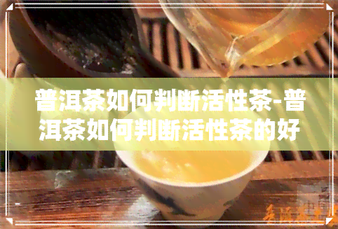 普洱茶如何判断活性茶-普洱茶如何判断活性茶的好坏