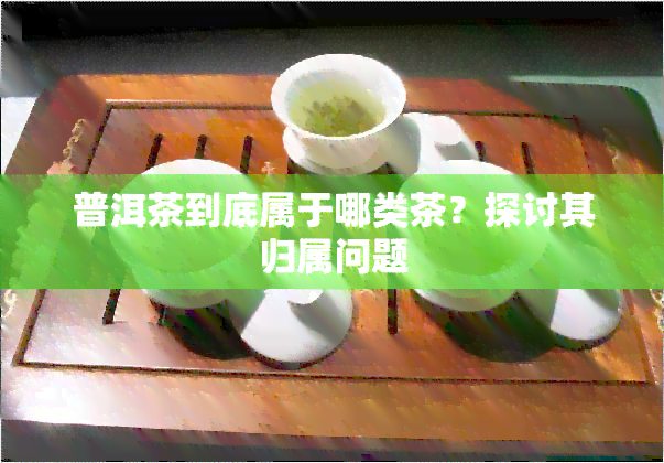 普洱茶到底属于哪类茶？探讨其归属问题