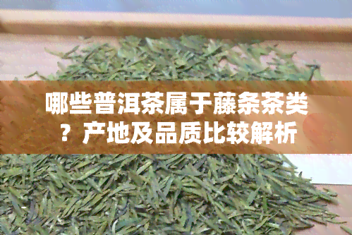 哪些普洱茶属于藤条茶类？产地及品质比较解析