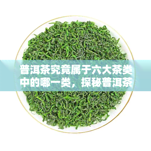 普洱茶究竟属于六大茶类中的哪一类，探秘普洱茶：它究竟属于六大茶类的哪一类？