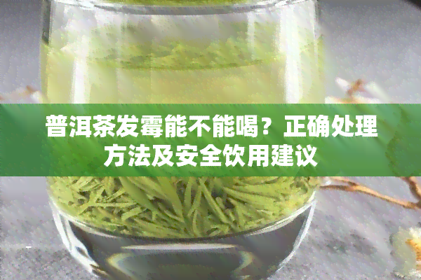 普洱茶发霉能不能喝？正确处理方法及安全饮用建议