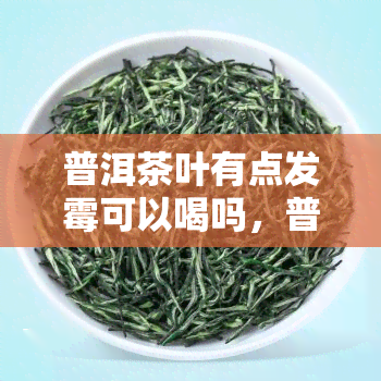 普洱茶叶有点发霉可以喝吗，普洱茶叶发霉了还能喝吗？答案在这里！