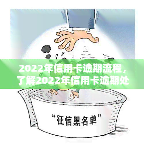 2022年信用卡逾期流程，了解2022年信用卡逾期处理步骤：避免额外费用和信用记录受损