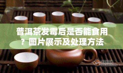 普洱茶发霉后是否能食用？图片展示及处理方法